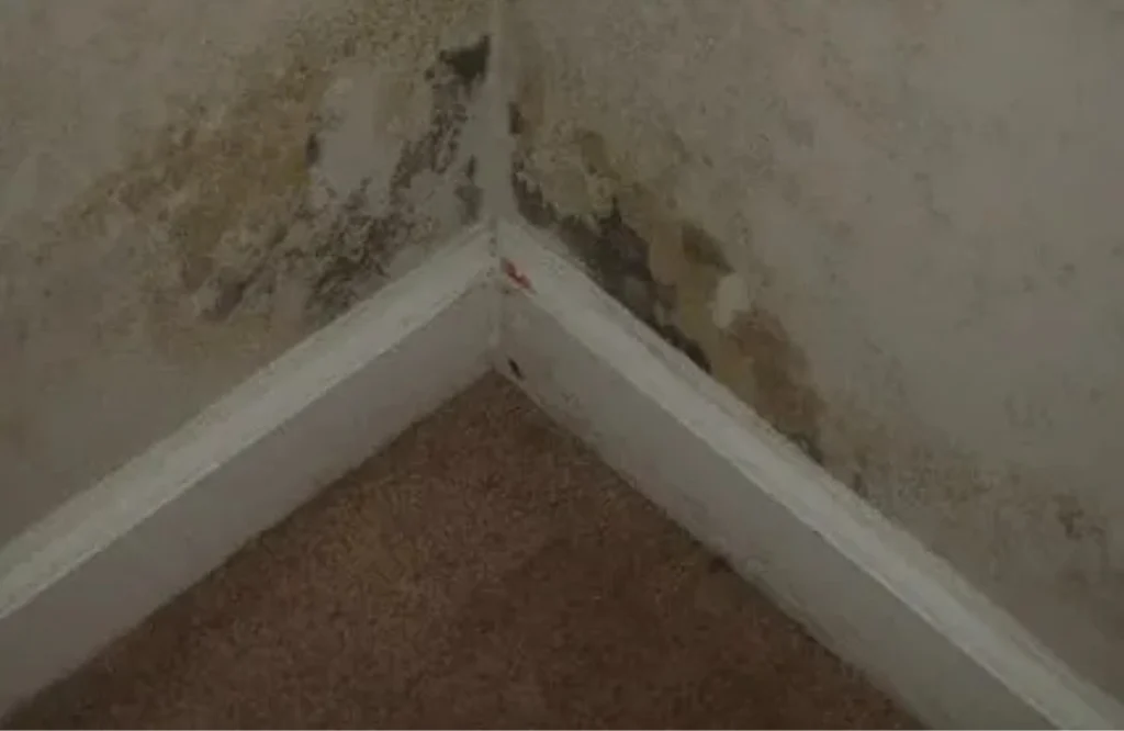 humidity in basement